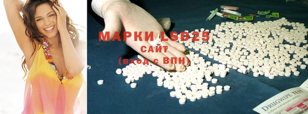 крисы Алзамай