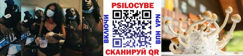 Псилоцибиновые грибы MAGIC MUSHROOMS  Томск 