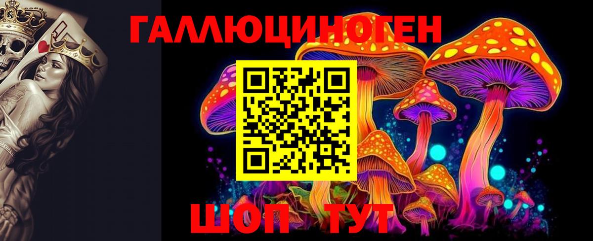 Галлюциногенные грибы GOLDEN TEACHER  Вход с VPN  купить закладку  Томск 